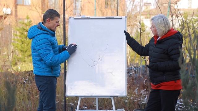 Формуюча обрізка. Як регулювати правильні кути гілок? смотреть онлайн