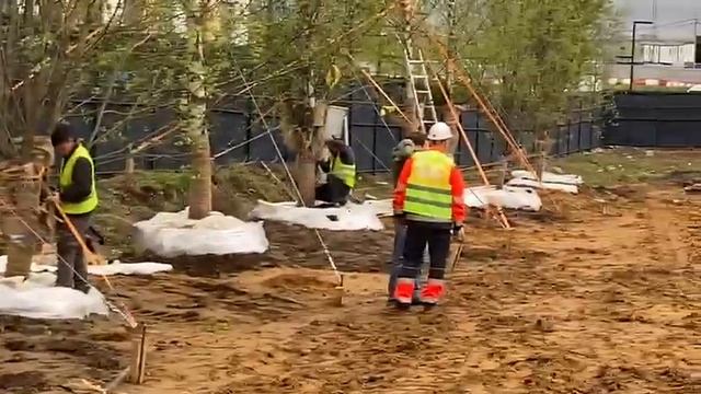 #ecology #копкакрупномеров #promecocentr #ecology #стройка #витенадовыйти смотреть онлайн