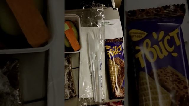 Еда в самолете на Пхукет. Таиланд 2024 за 50 тысяч рублей с перелетом. Остров Пхукет@tutsi-dieti смотреть онлайн