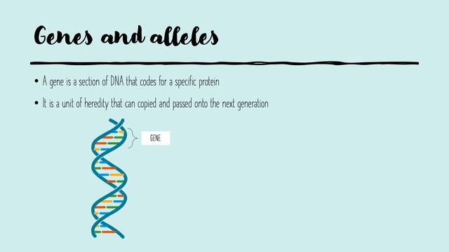 What is DNA & Gel Electrophoresis? смотреть онлайн