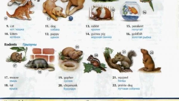 Матрица существует Matrix.