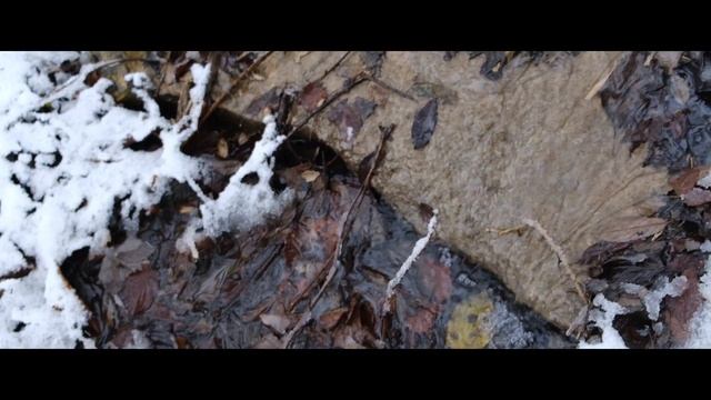 Winterlandschaft im Biotop смотреть онлайн