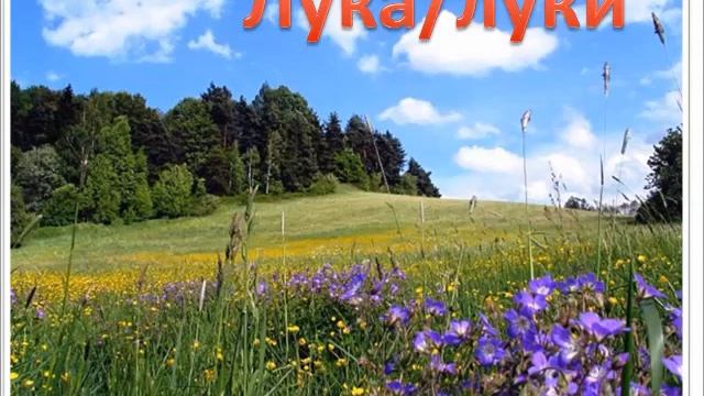 Екосистеми смотреть онлайн