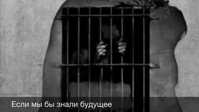 Если мы бы знали будущее смотреть онлайн