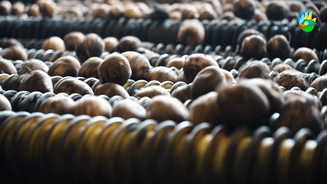 Мини-фильм из Красноярского края! смотреть онлайн