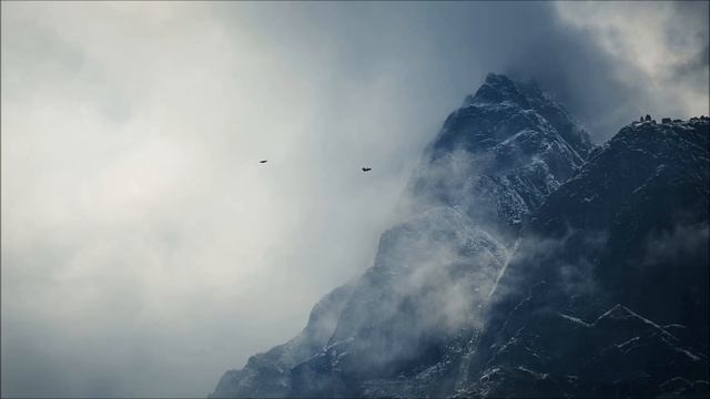 Insomnium - Inertia