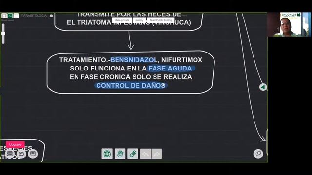 CLASE 12 MICROBIOLOGIA Y PARASITOLOGIA смотреть онлайн