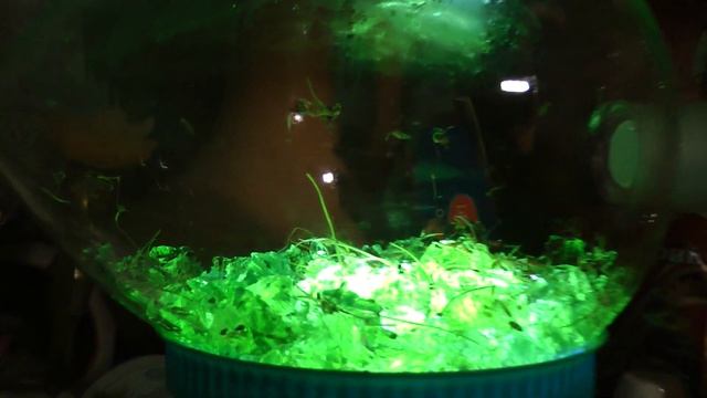 Mutagen 3ozz смотреть онлайн