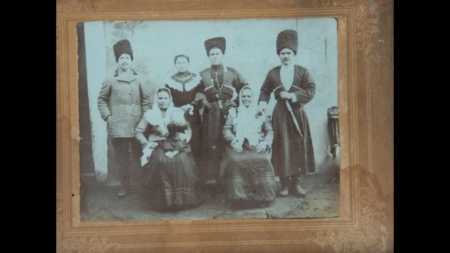 Несчастному деревцу не дал Бог листа смотреть онлайн