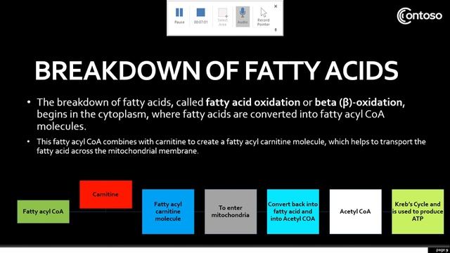 Lipid Metabolism смотреть онлайн