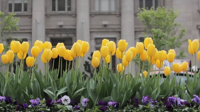 Конечно , Я помню ТЕБЯ ПАПА , и твои последние слова , Я ТОЖЕ ПОМНЮ смотреть онлайн