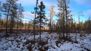 ПЕРВАЯ ПРОВЕРКА КАПКАНОВ.ВЕРНУЛОСЬ ТЕПЛО