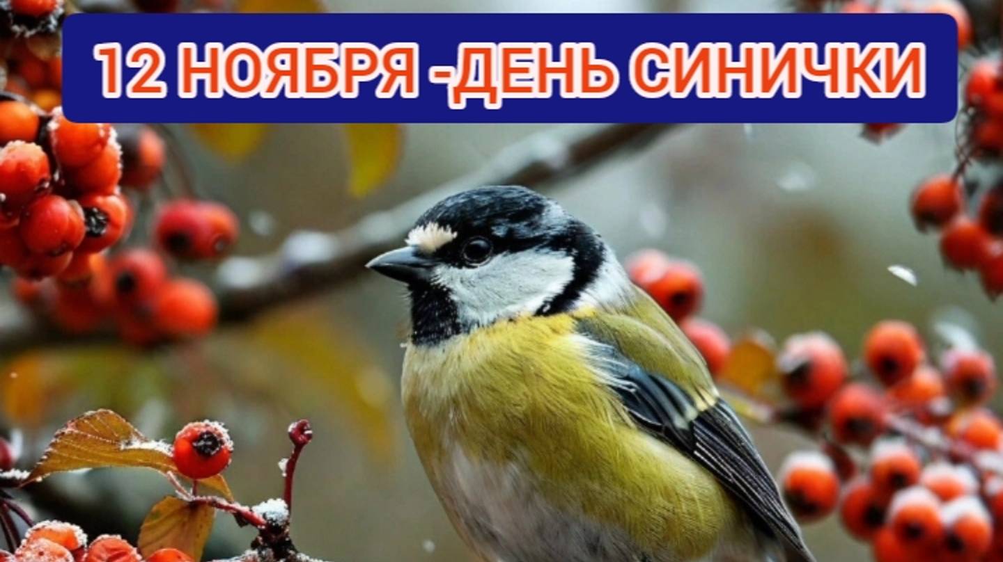 12 НОЯБРЯ -ДЕНЬ СИНИЧКИ смотреть онлайн