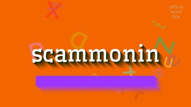SCAMMONIN - HOW TO SAY SCAMMONIN? смотреть онлайн