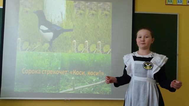 Диляра Алимова смотреть онлайн