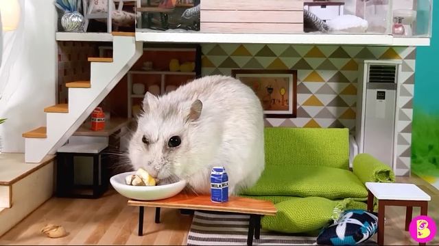 ПЕТЯ ПРОСТУДИЛСЯ*** ДОКТОР ХОМЯЧОК СПЕШИТ НА ПОМОЩЬ смотреть онлайн