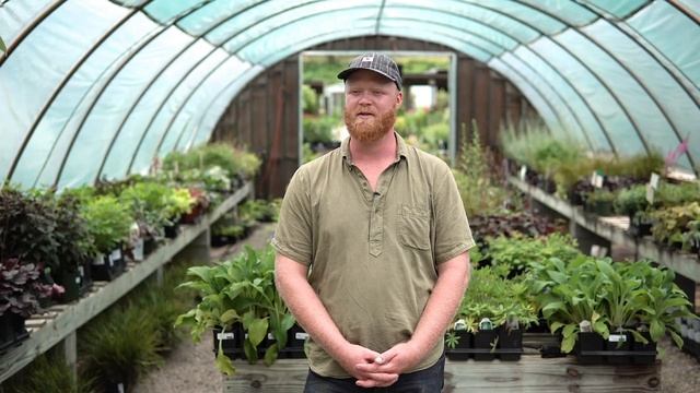 Winding Stair Farm & Nursery - Franklin, NC смотреть онлайн