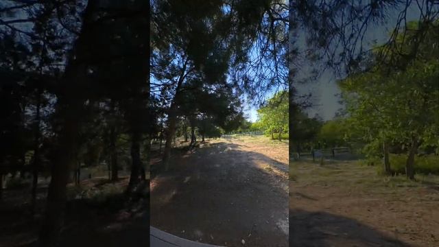 Прогулка в парке Победы 25 мая 2024 #севастополь #парк #море смотреть онлайн