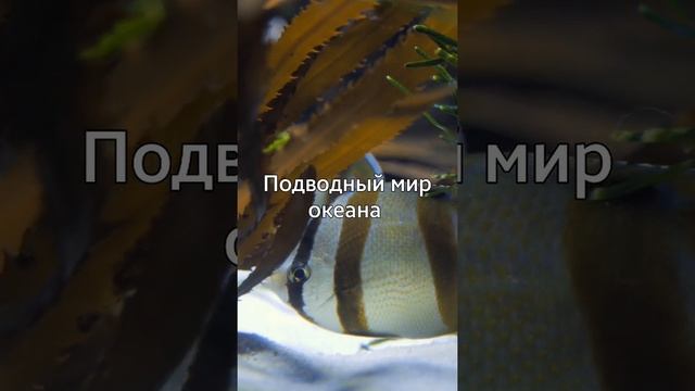 22 февраля 2023 г. смотреть онлайн