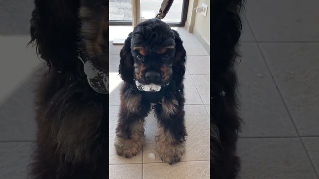 Obi Video смотреть онлайн