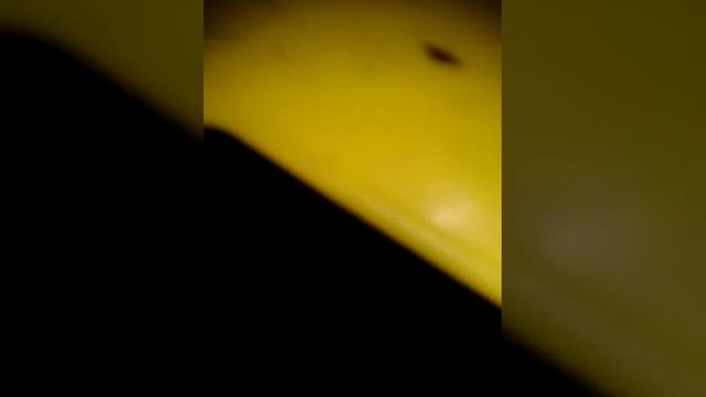 Дом из полимеров вместе с моей сестрой Лерой смотреть онлайн