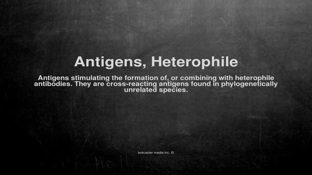 Medical vocabulary: What does Antigens, Heterophile mean смотреть онлайн