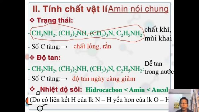 CLIP BÀI GIẢNG AMIN смотреть онлайн