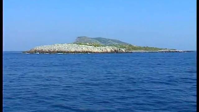 Alonnisos Marine Park sea life, Official Video смотреть онлайн