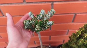 Отзыв от Екатерины 2