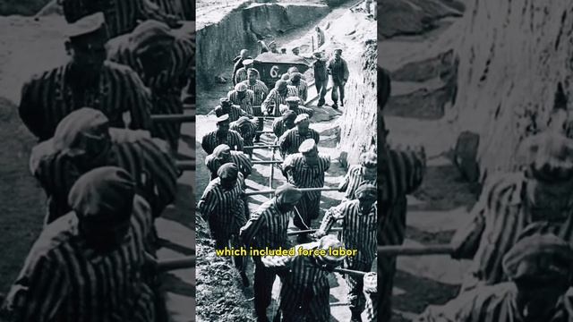 Did you know that there were 44 thousand concentration camps in Germany? #history #war #ww2 смотреть онлайн