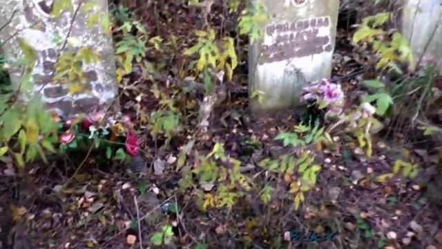 Земную Жизнь Прошли Наполовину Аллочка и Витя Беня смотреть онлайн