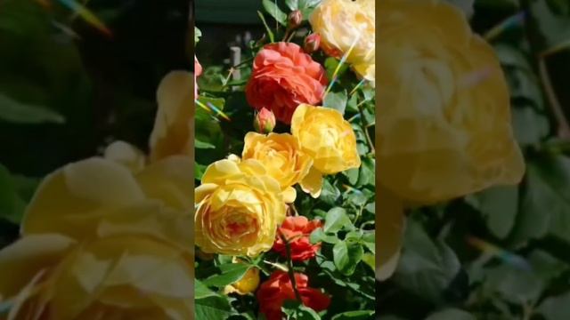 *Последний день весны* . 31. Мая смотреть онлайн