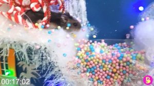 ДВОЕ в СНЕЖНОМ ЛАБИРИНТЕ** КТО ПЕРВЫЙ ПРОЙДЕТ ВСЕ ИСПЫТАНИЯ?