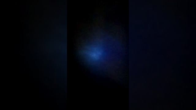 ЭВОЛЮЦИЯ КОТЯТ 1СЕРИЯ приезд смотреть онлайн