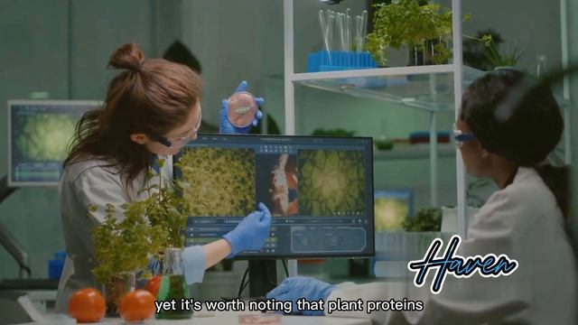 Protein Showdown: Animal vs Plant!! смотреть онлайн