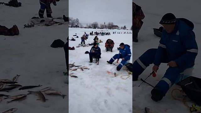 Краснопёрка , Сахалин, река лютога. смотреть онлайн