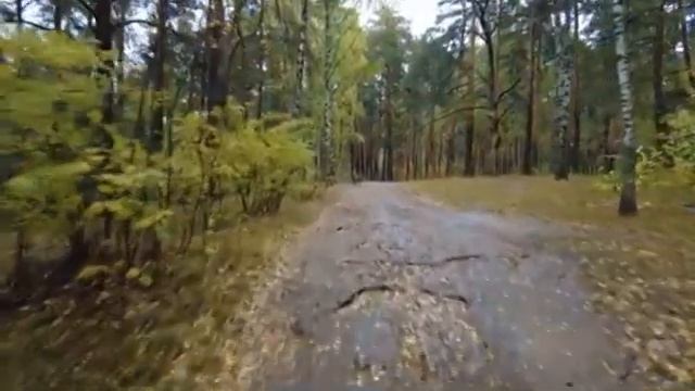 Я люблю глаза твои печальные... смотреть онлайн