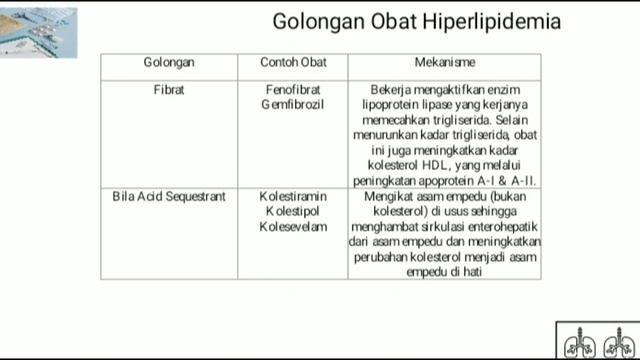 Presentasi kelompok V "Hiperlipidemia" смотреть онлайн