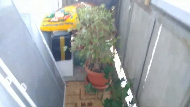 Уход за цветами смотреть онлайн
