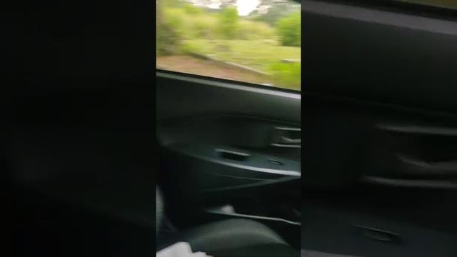 Hale Nimbus Pera Sterilant смотреть онлайн