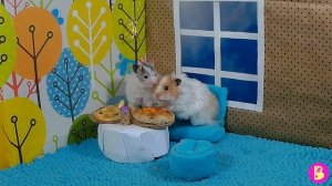 ХОМЯЧКИ В КАФЕ/Hamsters in a cafe