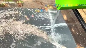 Marble Run 1000 Marbles Rain Gutter VS Mega Whirlpool ASMR Amakandu