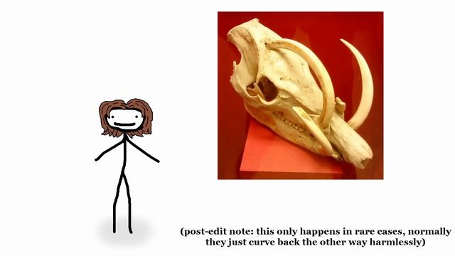 Top 10 Worst Animal Skeletons смотреть онлайн
