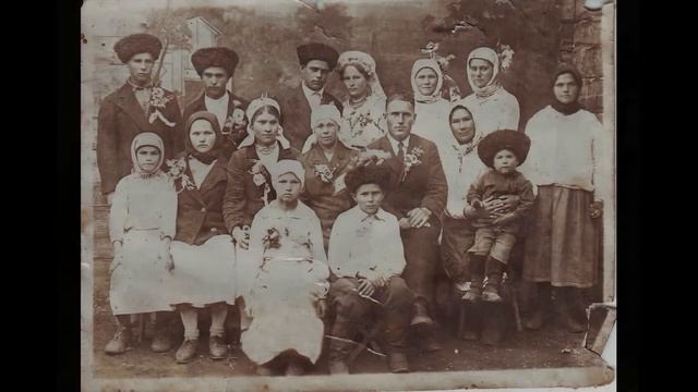 Винаград в саду цвитёть смотреть онлайн