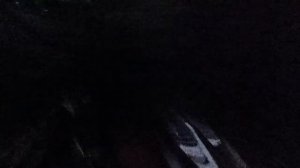 ВСТРЕЧА С СЕКТАНТАМИ! СРОЧНОЕ ВИДЕО! Страшная ночь в лесу! Часть 2