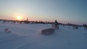 экспедиция на снегоходах. Бакчар.2017 Васюганское болото