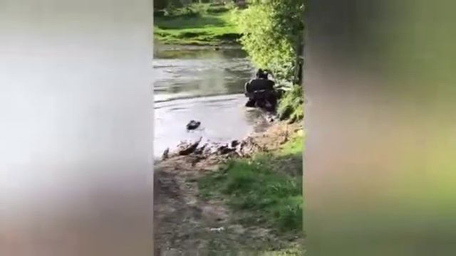 Новые шнорки на квадрик смотреть онлайн