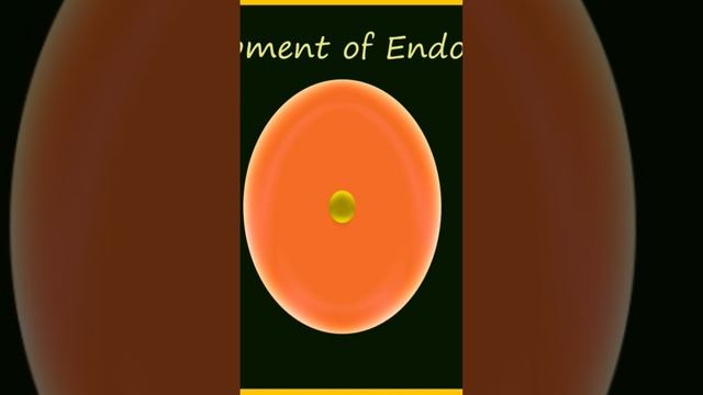 Angiosperm Endosperm смотреть онлайн