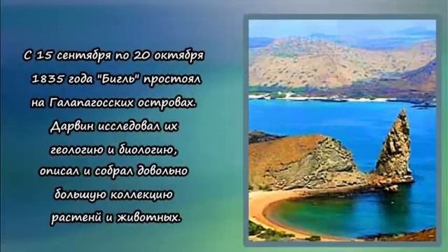 Чарлз Дарвин смотреть онлайн