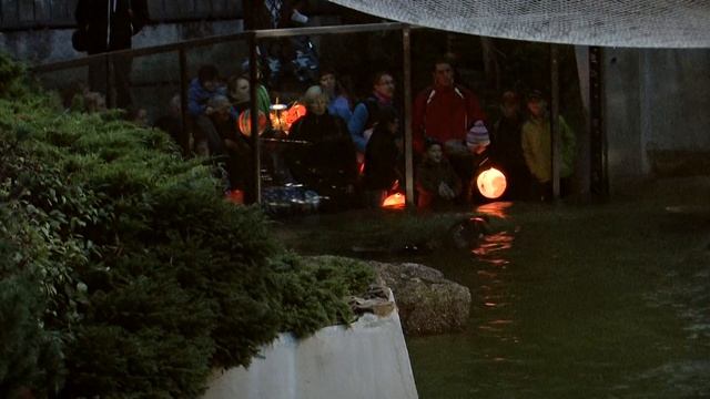 Večerní prohlídka ZOO ZLÍN смотреть онлайн